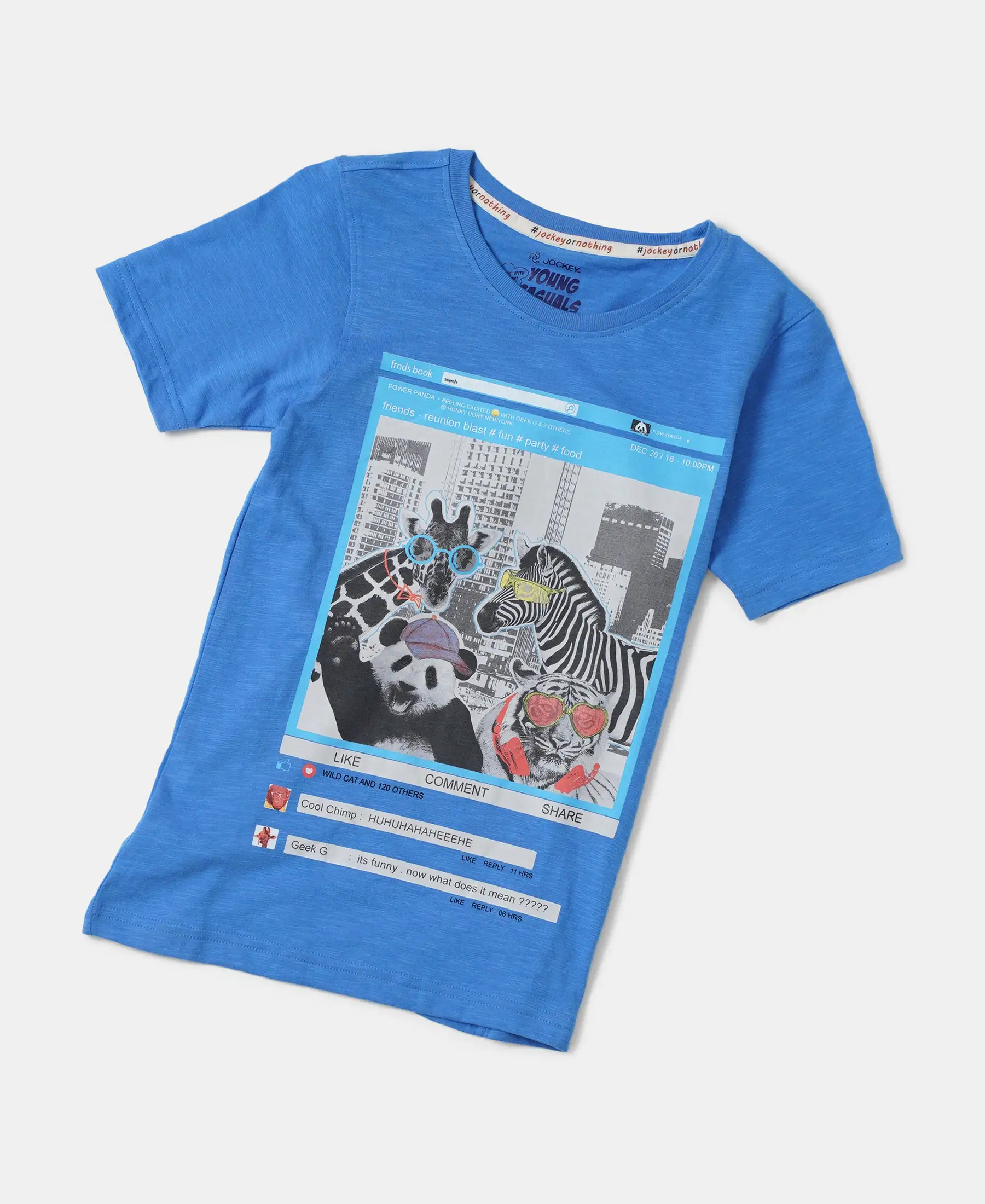 Boy's Super Combed Cotton Graphic Printed Half Sleeve T-Shirt - Palace Blue Printed - Image 5