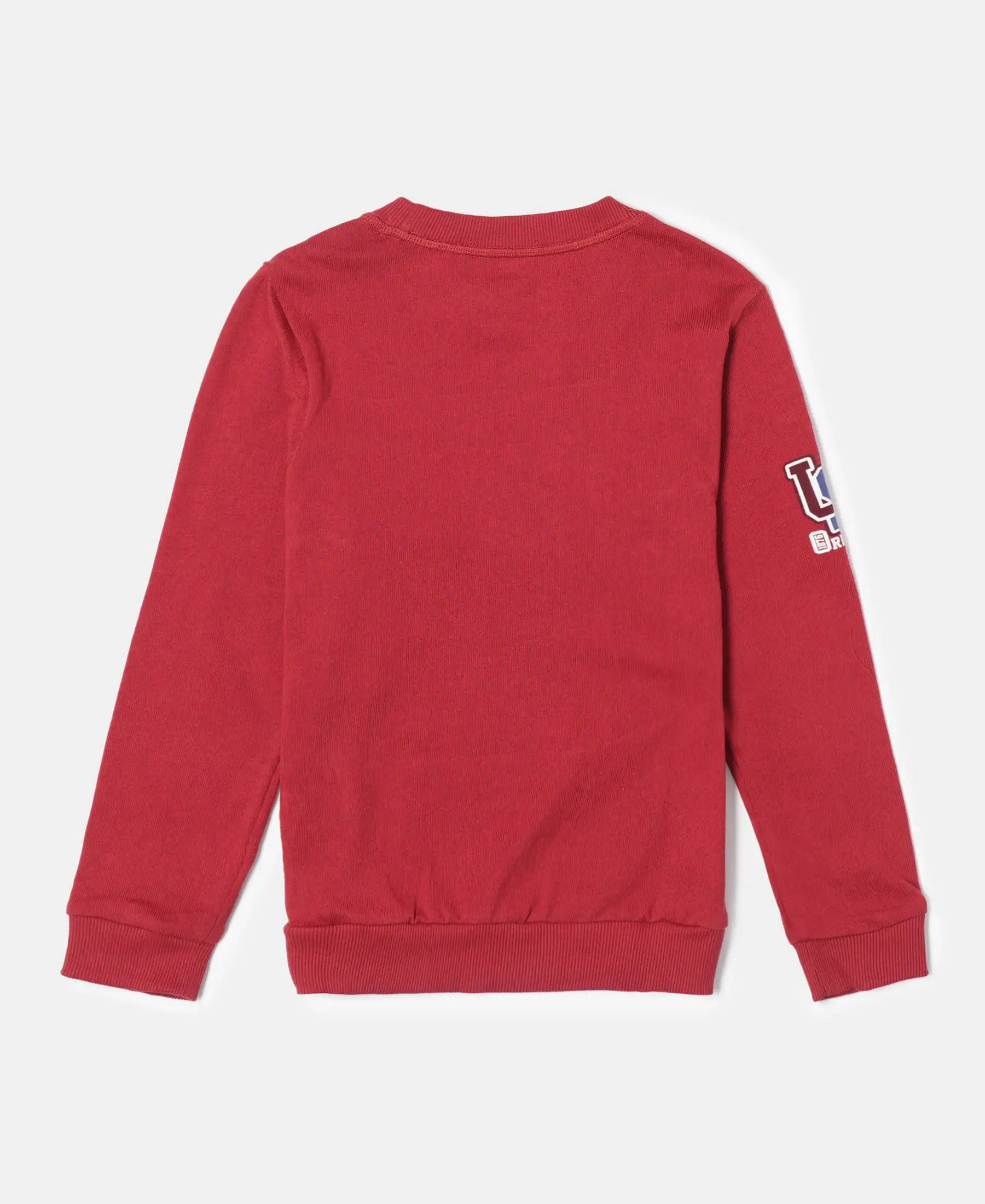 Boy's Super Combed Cotton Rich Graphic Printed Sweatshirt - Cherry Cobbler - Image 2
