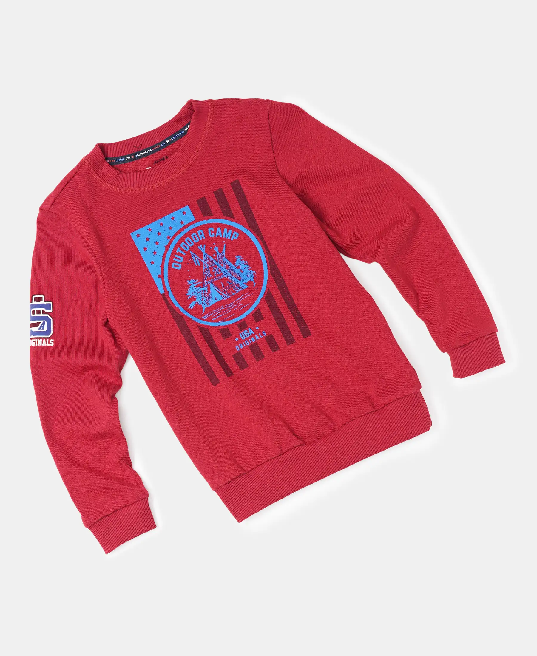Boy's Super Combed Cotton Rich Graphic Printed Sweatshirt - Cherry Cobbler - Image 5