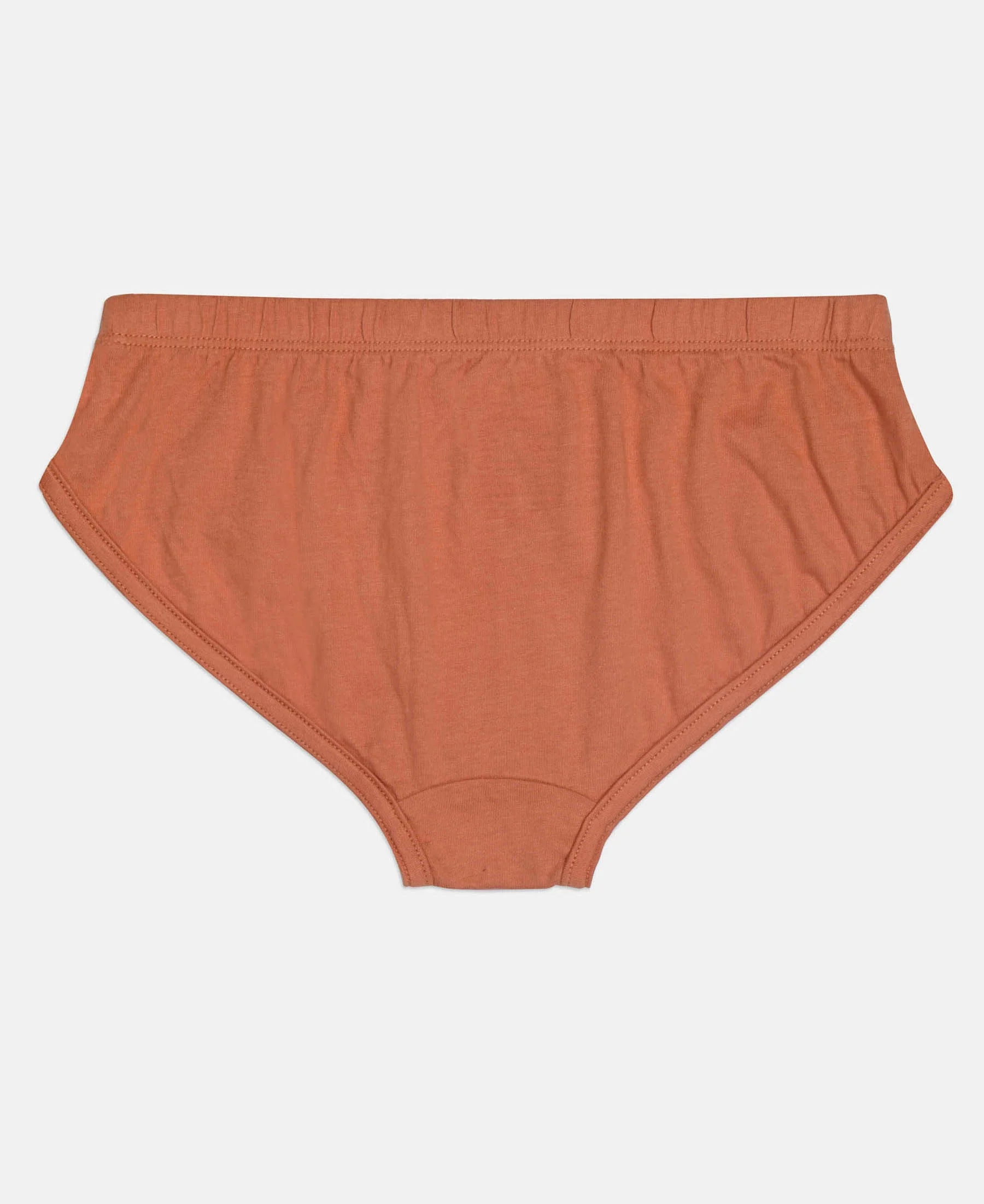 Super Combed Cotton Solid Brief with Ultrasoft Waistband - Sleet, Black & Raw Sienna (Pack of 3) - Image 3