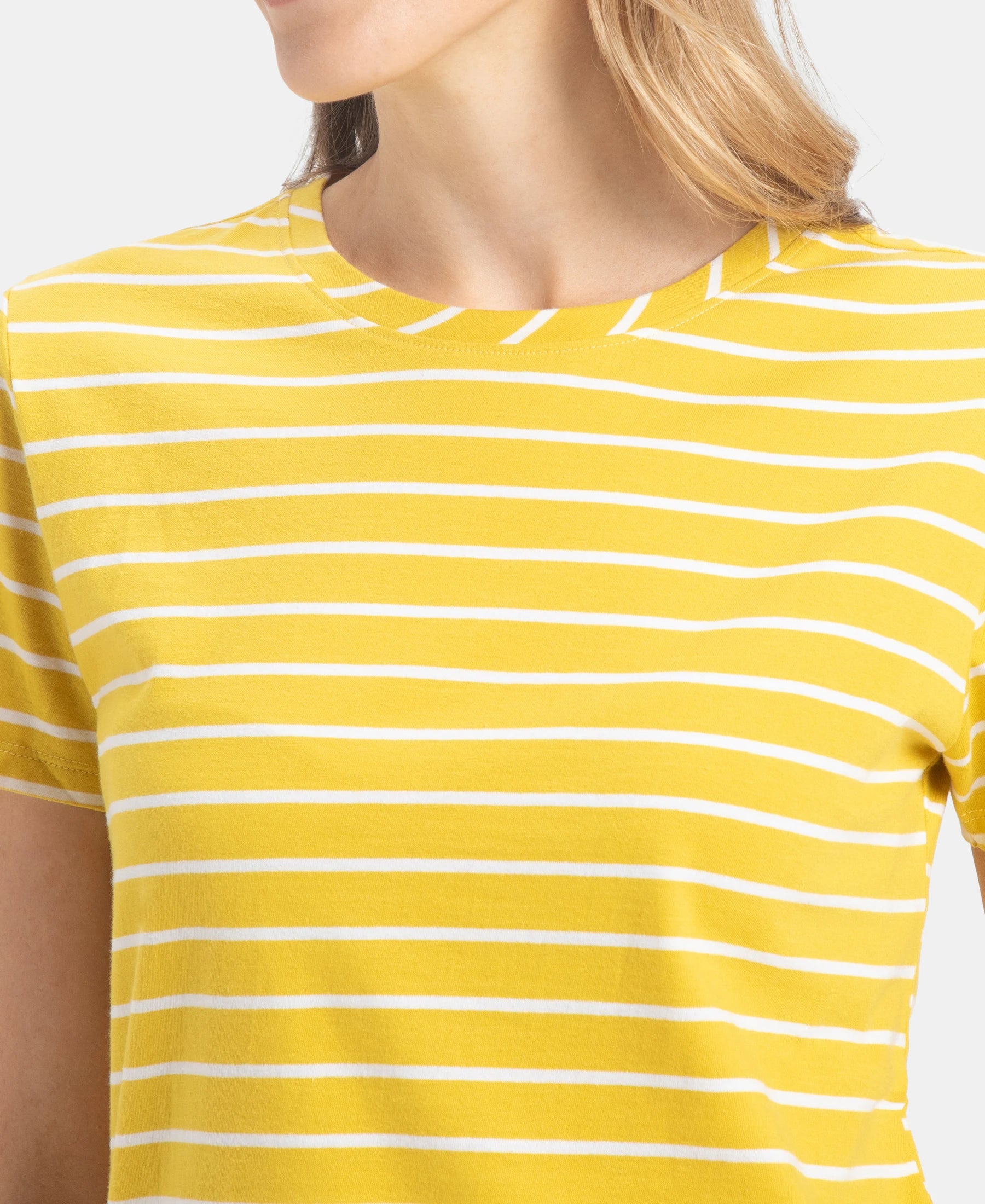 Super Combed Cotton Stripe Fabric Relaxed Fit Round Neck Half Sleeve T-Shirt with Curved Hem Styling - Mango Mint - Image 7